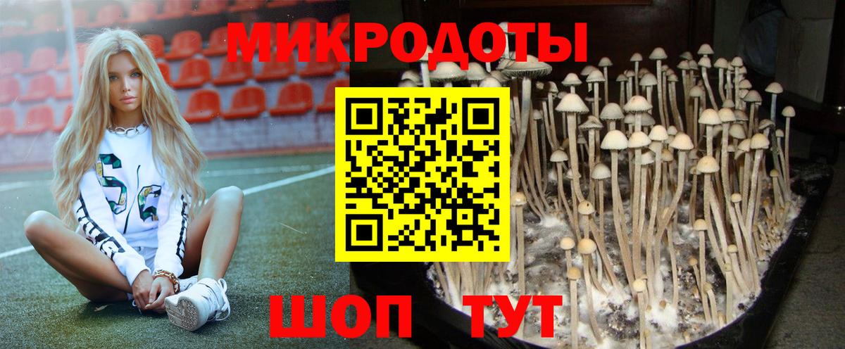 Галлюциногенные грибы ЛСД Будённовск